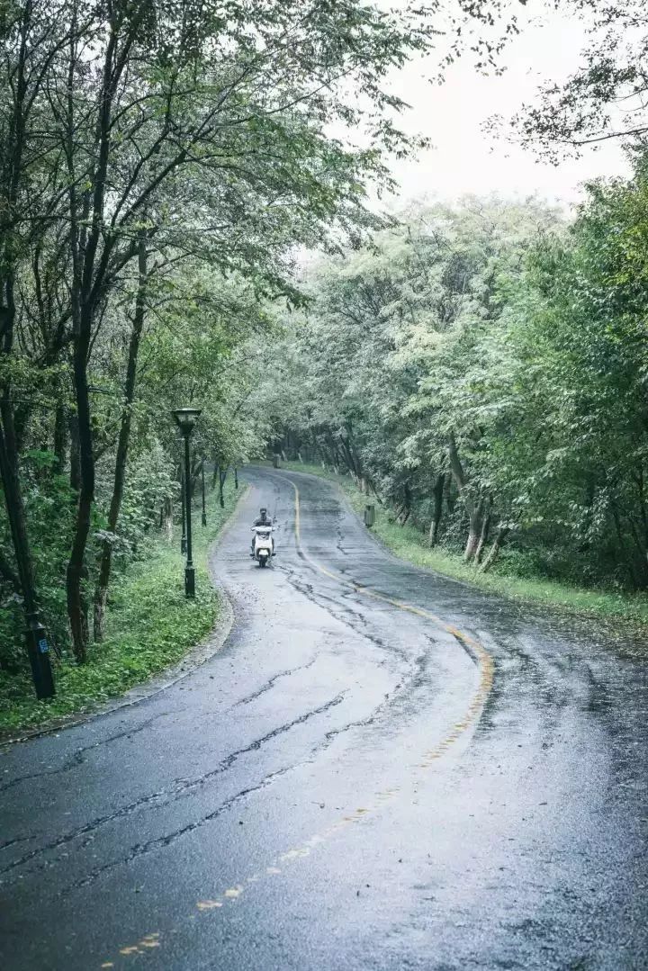 雨一直下美依舊在