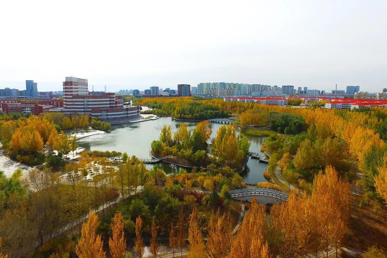 東北石油大學676767圖 / 劉靜文 / 劉澤杉美景隨心動,取次花叢