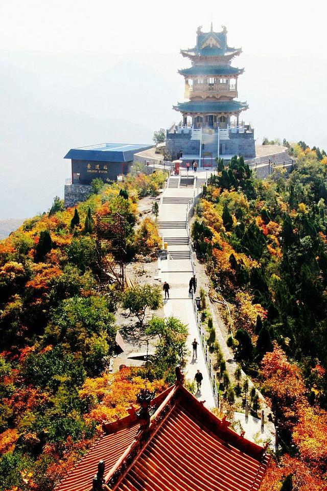 漫山遍野的紅葉,如火如荼,這既是一幕美麗鄉村的記憶,又是太行明珠