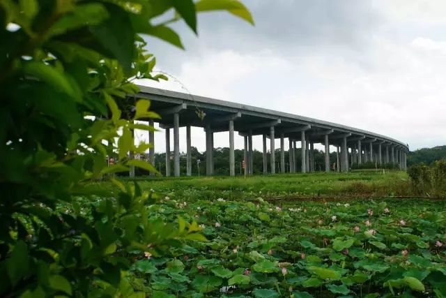 作者:范春壮图片:陆河县摄影家协会彭桂雄,叶启惠,朱显棠,叶建亚,彭