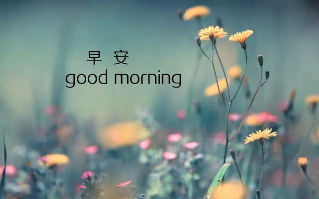 good morning 微信图片