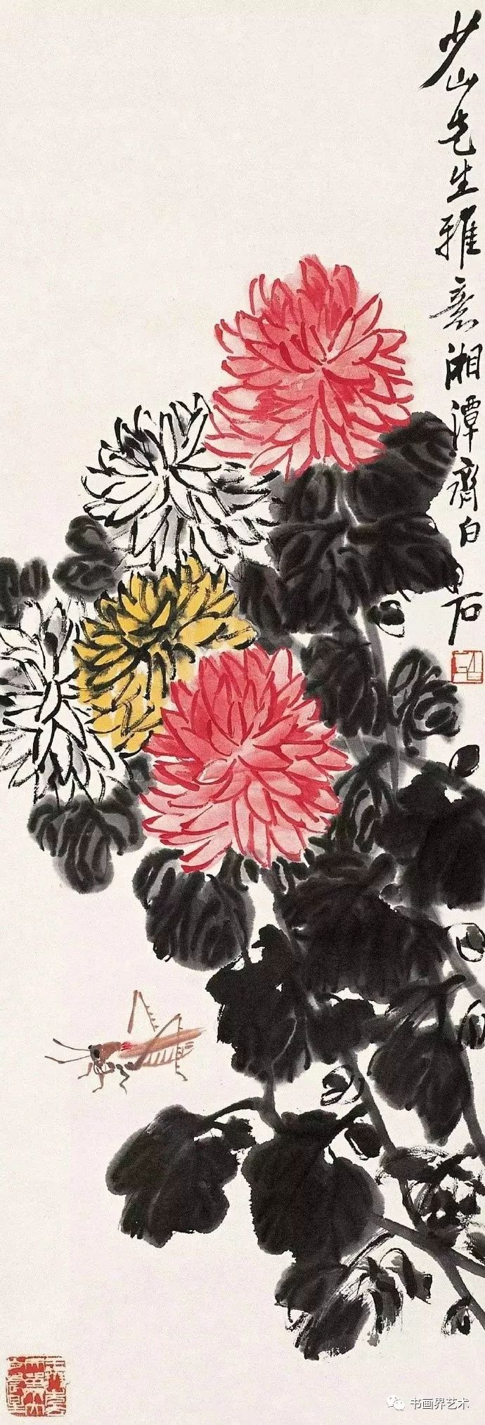 王雪涛画菊,注重整颗菊花整体的外形,而且都有意增加花朵与叶子的大小