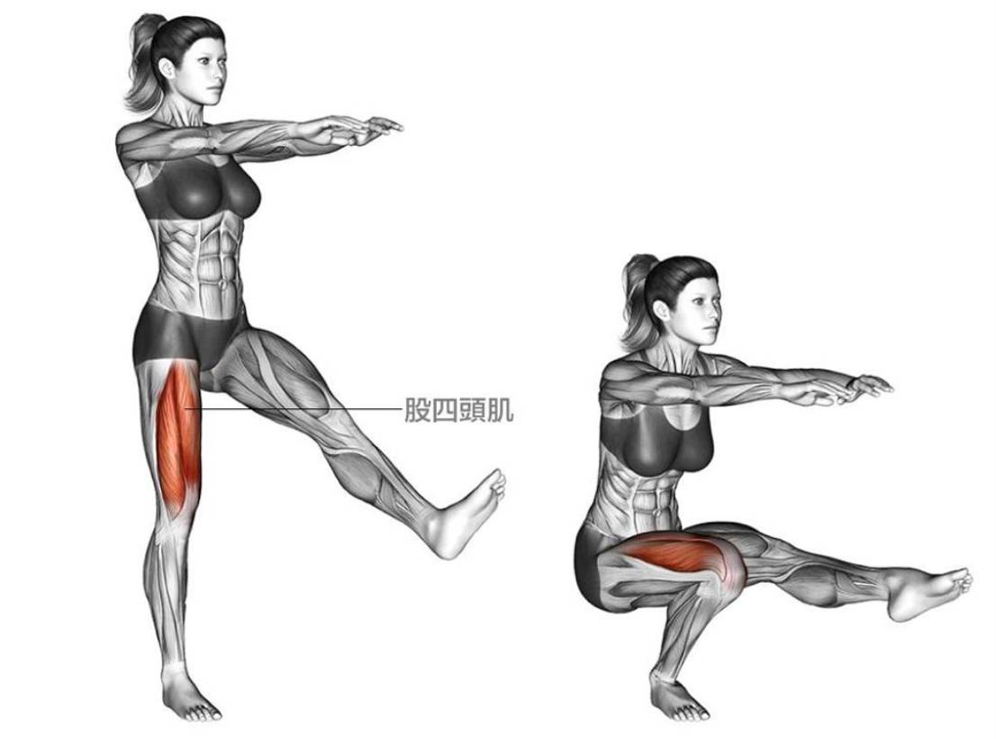 1单腿深蹲以下向大家介绍5种可以增强股四头肌肌肉力量的基础训练:穿