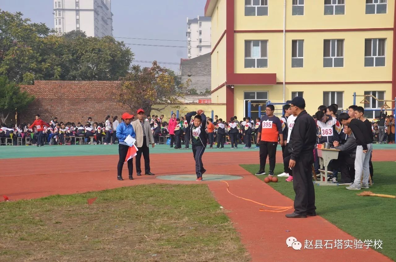 赵县石塔实验学校图片