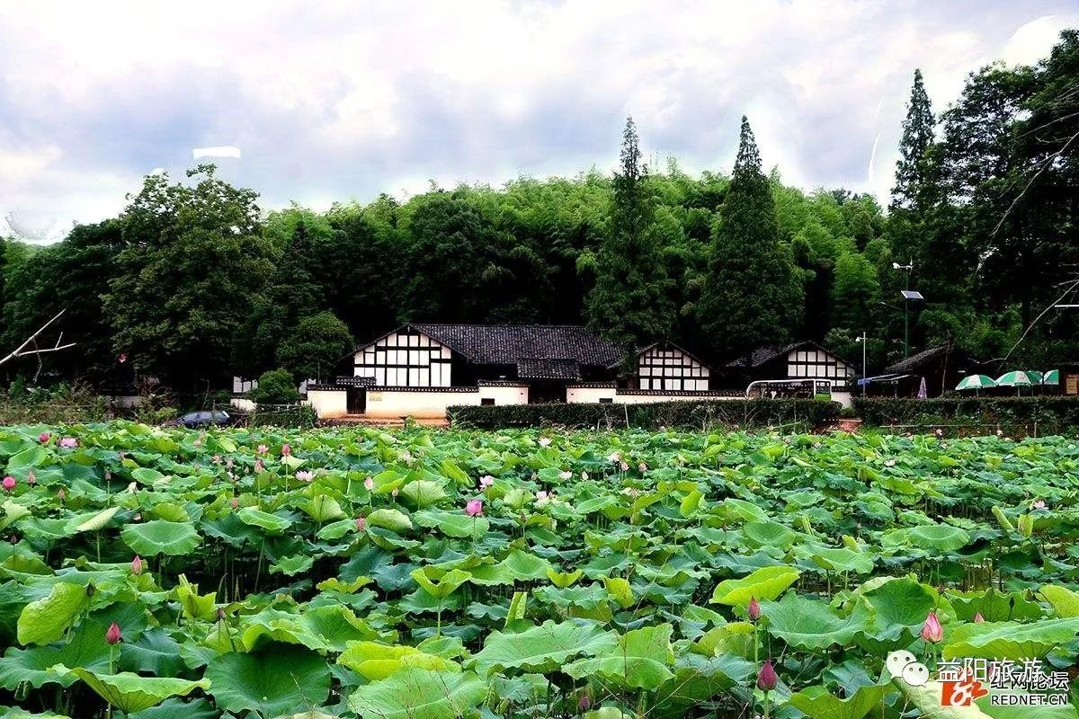 周立波故居图片大全图片