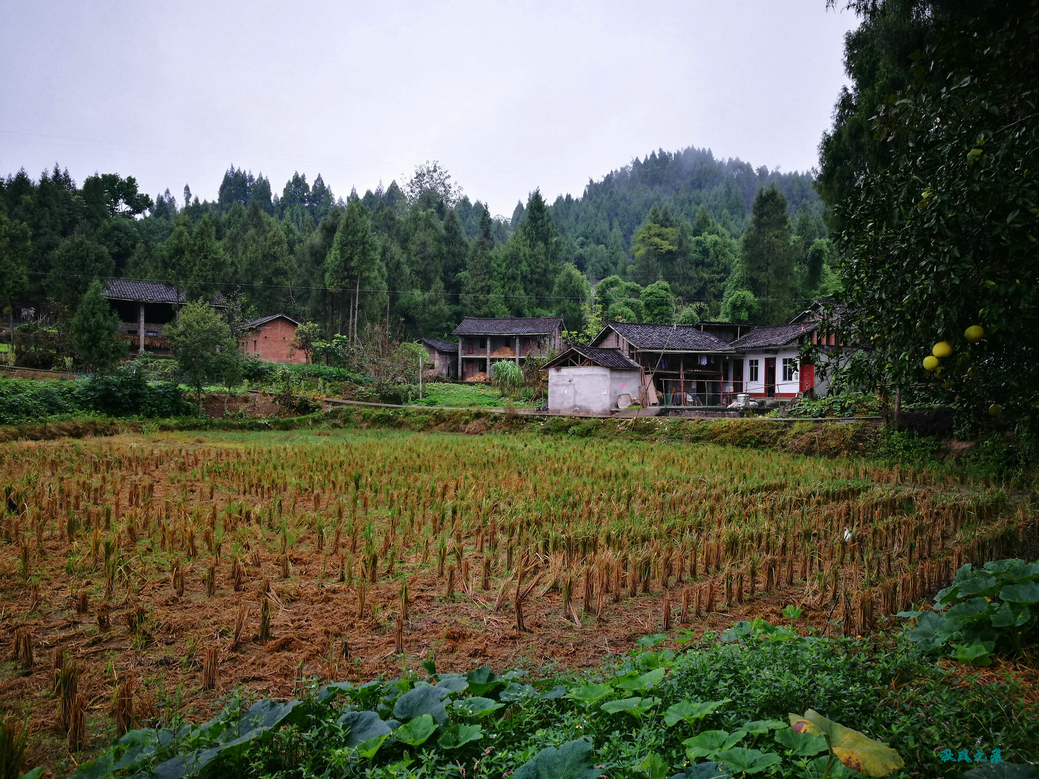 秋雨中的蜀中小山村