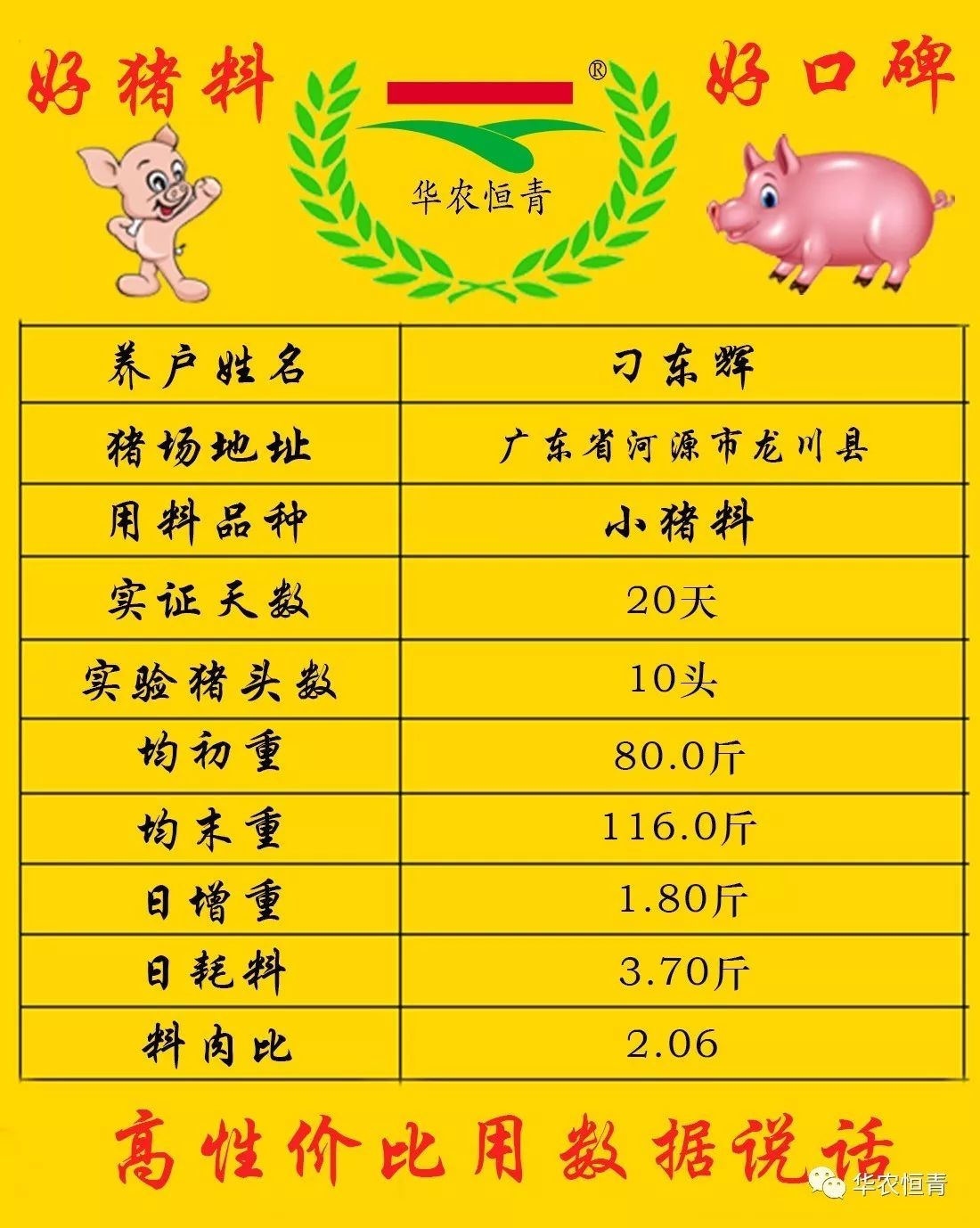 [实证分享]华农恒青小猪料 高营养,高性价比的猪饲料