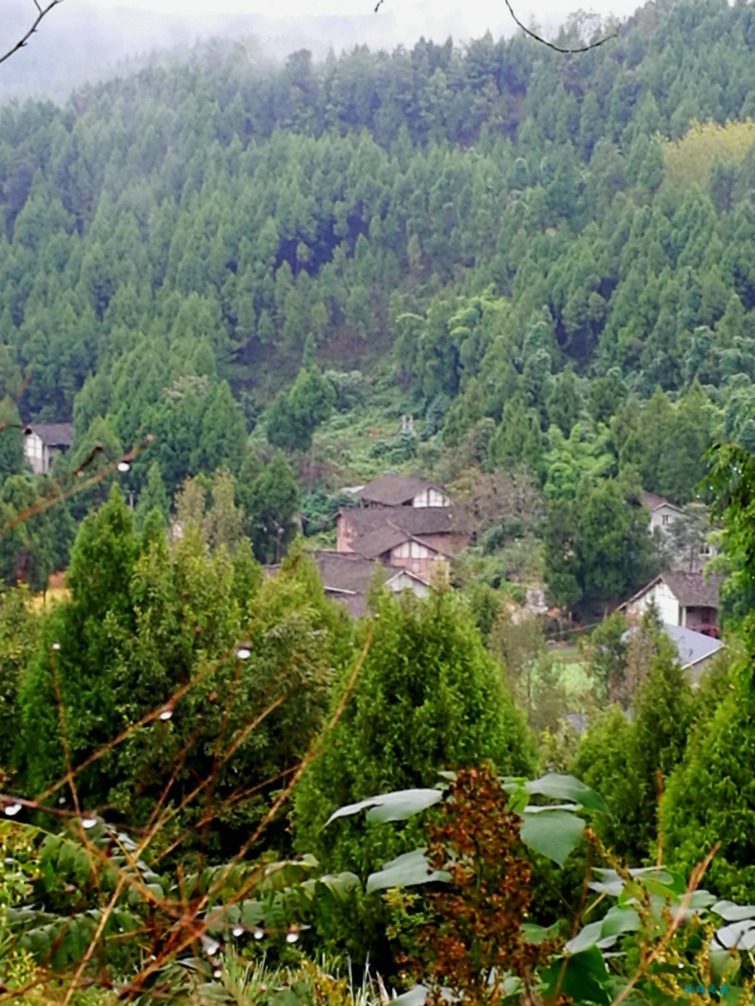 秋雨中的蜀中小山村