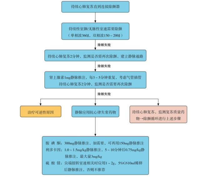 实拍:难得一见的室颤!