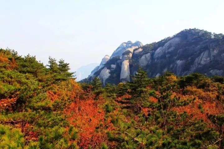 可能因为黄山名气太大了,所以天柱山显得弱势了很多,但其实在秋色比美