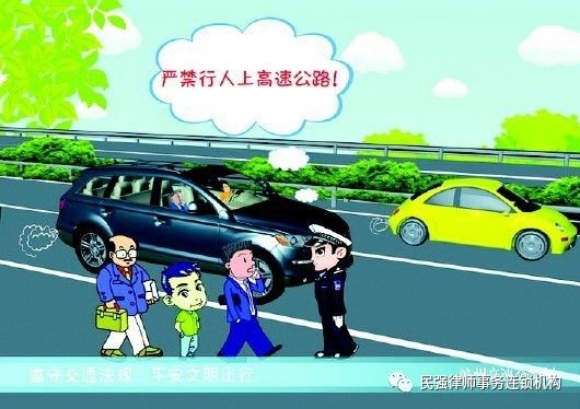 行人违章进入高速公路被撞伤,司机要担责,但可减责