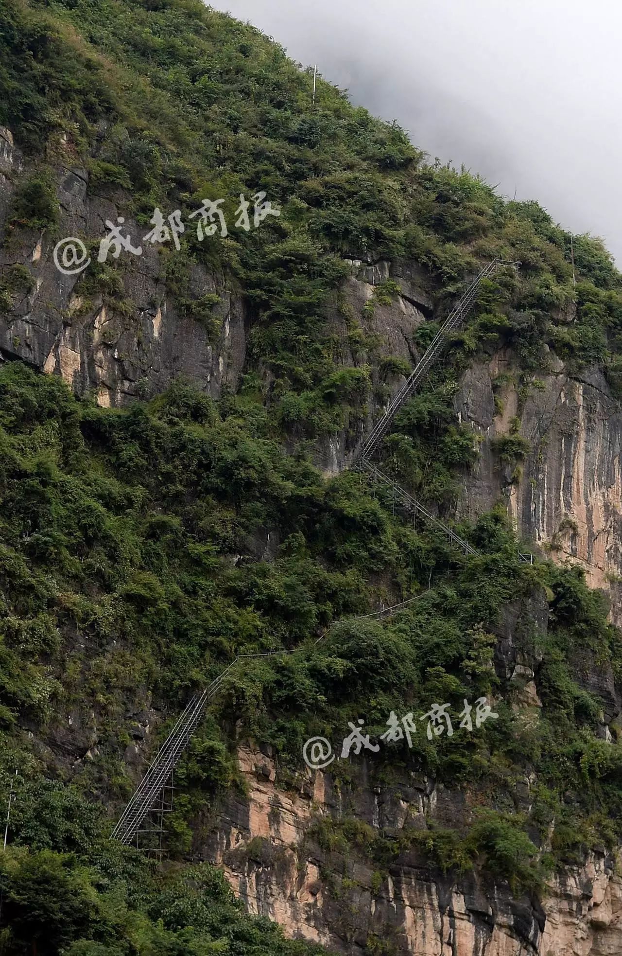 悬崖村全景图片天梯图片