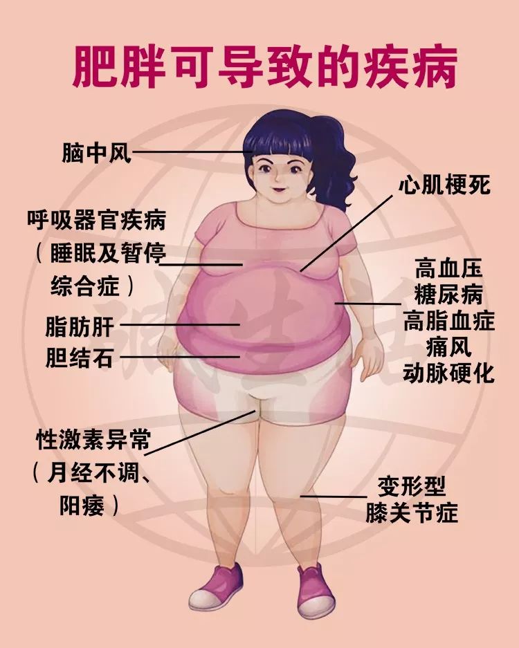 肥胖的危害漫画图片
