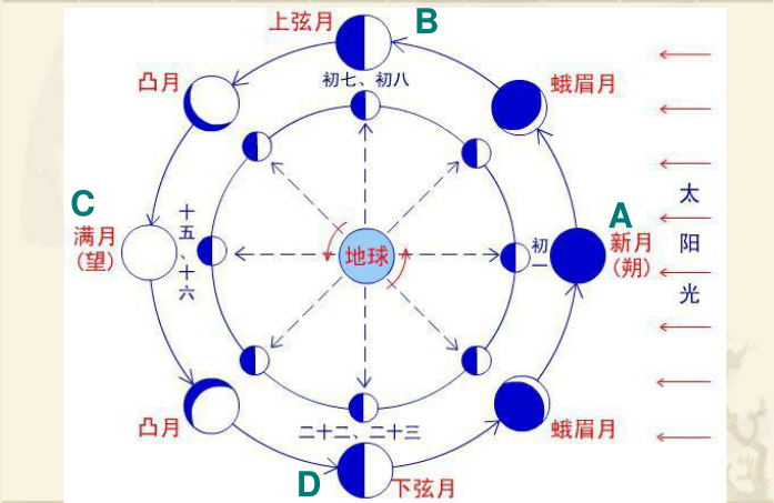 古代七损八益图图片