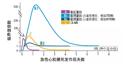 心肌标志物测定图片