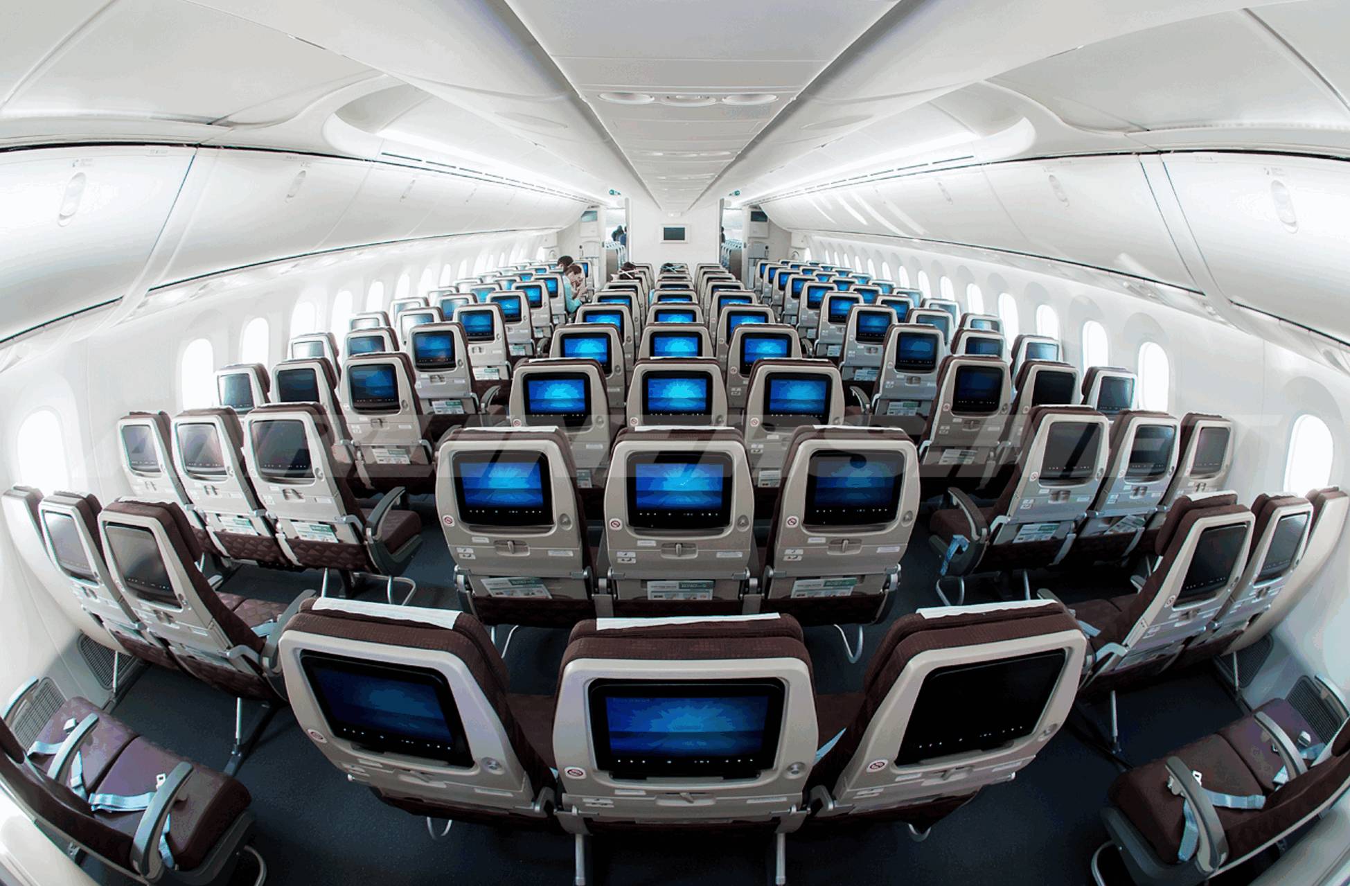 波音787内部座位图图片