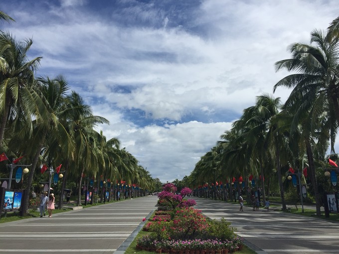 進入景區的椰林大道.嘿嘿,開啟各種自拍模式10.