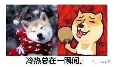 最低气温17!每天经历风雨交加都要冷哭了,还有这几个坏消息!