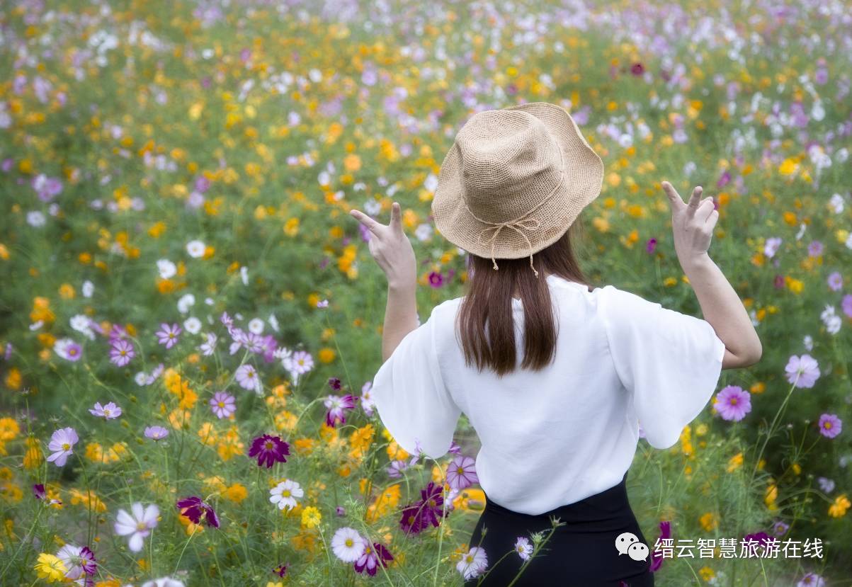 美爆了这一路繁花似锦只为等候你的到来