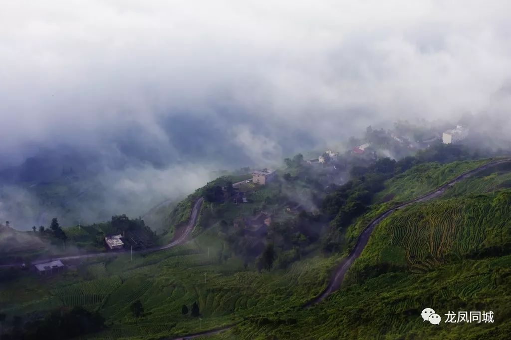 【同城旅遊】——八面山