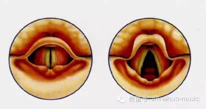声带闭合和高音的关系!