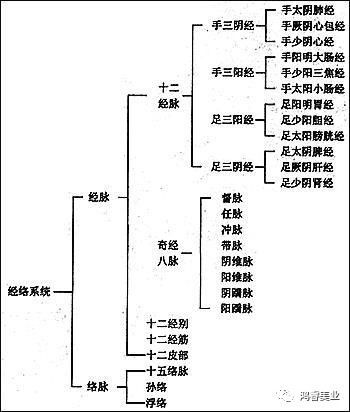 tbs秀場這位北京中醫藥大學教授本來想證明經絡不存在但最後