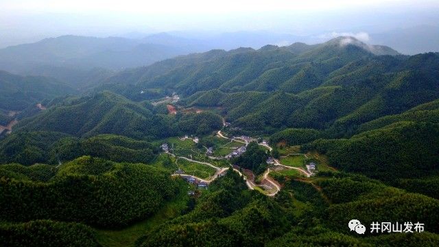 【喜报】井冈山市茅坪乡神山村获评省级文明村