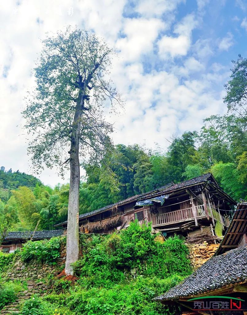 大美秀山——官庄红石村