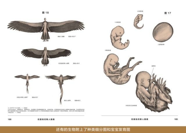 赫拉克勒斯与萨提洛斯图片