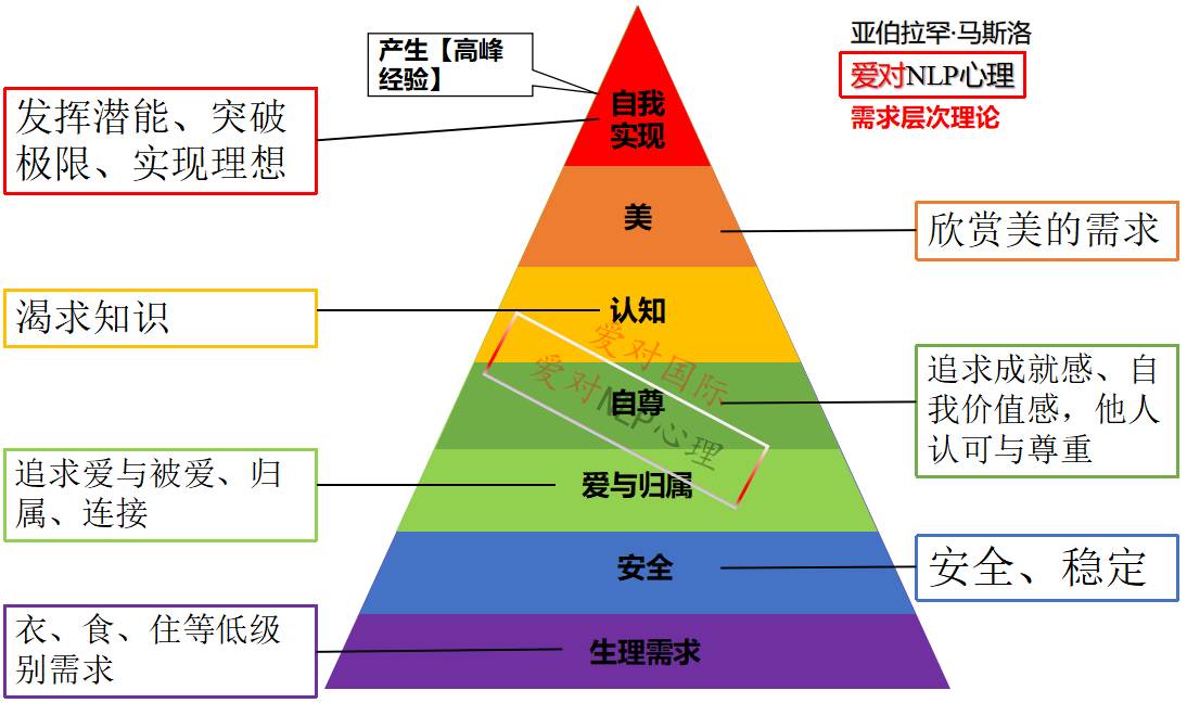 nlp什么意思图片