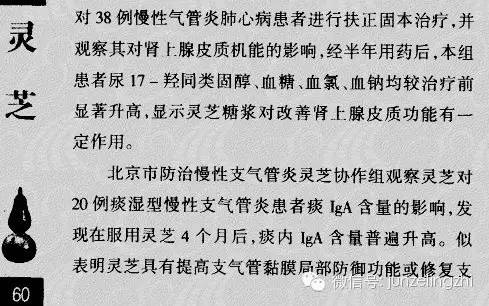 氣管的纖毛上皮細胞,杯狀細胞和軟骨組織,減輕煙霧引起的慢性炎症病理