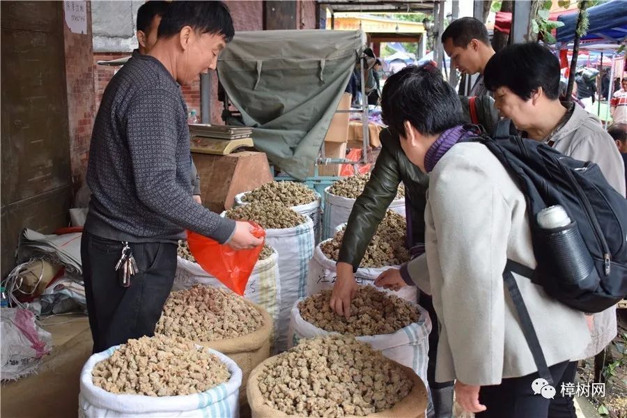 江西樟树药材市场图片