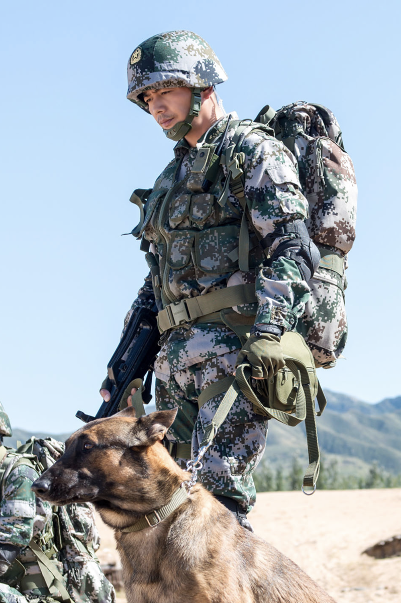 杨烁奇兵神犬正式入营02硬汉与警犬再续奇缘引关注