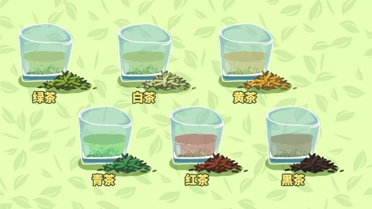 绿茶→白茶→黄茶→青茶→红茶→黑茶真的吗?