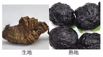 顧芨健康生地熟地骨頭湯的煲法