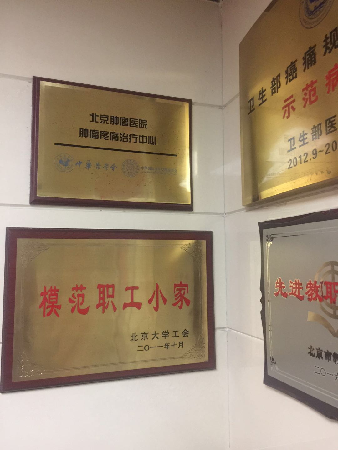 包含北京大学肿瘤医院全天在门口随时联系的词条