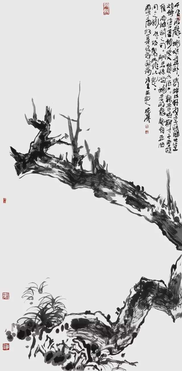 殷晓溪花鸟画图片