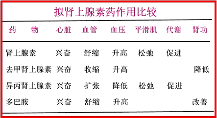 肾上腺素受体阻断药一,α受体阻断药