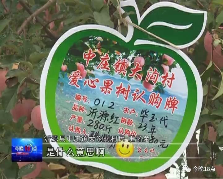 苹果树介绍牌图片