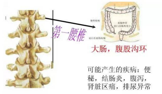 (脊椎養護)脊椎引起的108種疾病大全!