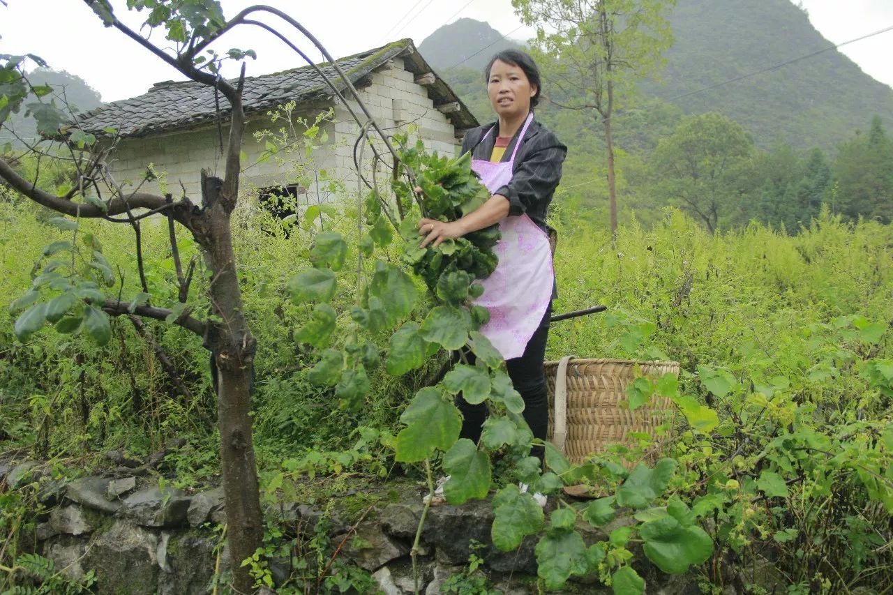 像男人一樣生著,像女人一樣活著,長順這個女人不簡單!