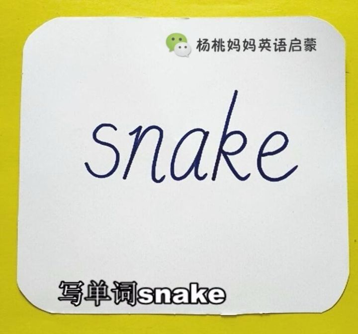 蛇的英文单词图片