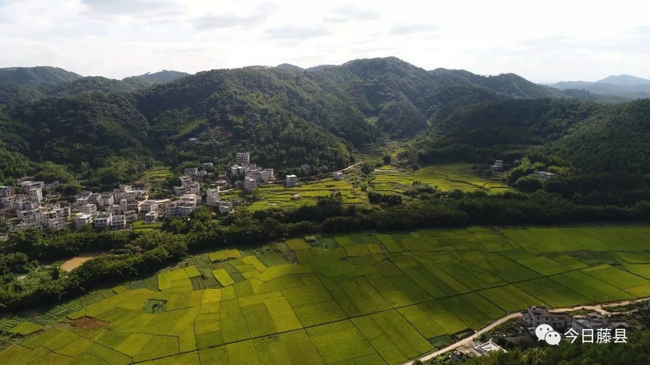 砥砺奋进的五年岭景镇绿色发展生态富民家乡发展让百姓更有底气