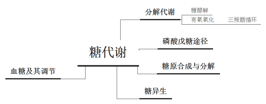 糖代谢全过程示意图图片