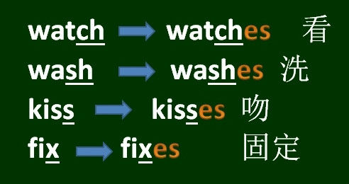 1,大部分動詞,構成第三人稱單數的形式,直接在詞尾加