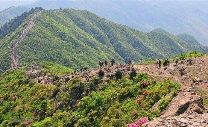 宁海茶山东海云顶图片