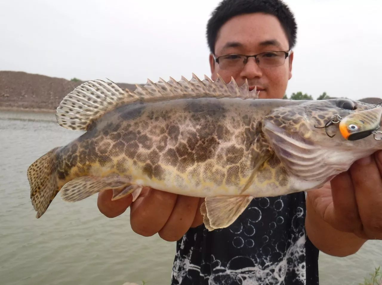 西塞山前白鹭飞桃花流水鳜鱼肥下