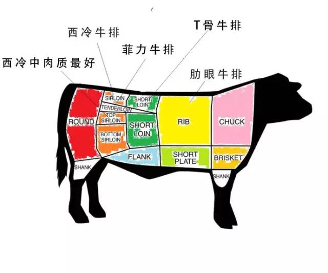 牛排分布图详细解说图片