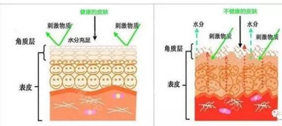 皮肤补水你真的会吗