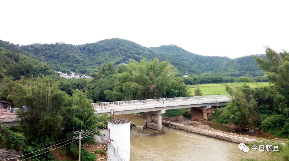 砥砺奋进的五年岭景镇绿色发展生态富民家乡发展让百姓更有底气